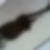 Photo de profil de Anne Brugnon