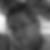 Photo de profil de Laurent Weinhard