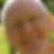 Photo de profil de Gérard Doré