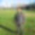 Photo de profil de Bertrand So