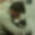 Photo de profil de Freddy Dicky