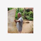 Photo de profil de Noureddine Amid