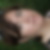 Photo de profil de Véronique Manceau