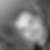 Photo de profil de Benjamin Furgal