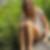 Photo de profil de Emeline Gaspard