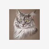 Photo de profil de Jack Rousse