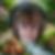 Photo de profil de Chrystele Viard-Cretat