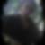 Photo de profil de Guillaume Burtin