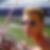 Photo de profil de Lionel Bouteiller