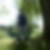 Photo de profil de Jean Pierre Salomez