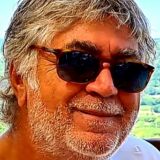 Photo de profil de Guy Naccache