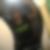 Photo de profil de Ysaline Pivin