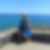 Photo de profil de Nicole Havart
