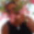 Photo de profil de de Nis de Abreu