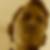 Photo de profil de Cedric Canezza