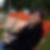 Photo de profil de Veronique Salles