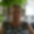 Photo de profil de Michelle Collerais