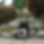 Photo de profil de Adrien Tailleux