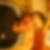 Photo de profil de Jean-Luc Masson