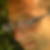 Photo de profil de Freddy Gaste