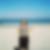 Photo de profil de Fanny Deloraine