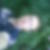 Photo de profil de Jerome Pircher