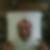 Photo de profil de Adel Louail