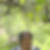 Photo de profil de Alfred Soubeyrat