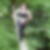 Photo de profil de Schick Nathalie