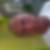 Photo de profil de Christian Coopmans