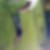 Photo de profil de Nicolas Mousselin