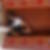 Photo de profil de Catherine Lourmais