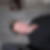 Photo de profil de Franck Basille