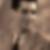 Photo de profil de Franz Cherubin