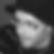 Photo de profil de Anthony Protat