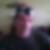 Photo de profil de Jean Claude Fontaine