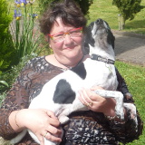 Photo de profil de Sylvie Planche