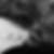 Photo de profil de Jeremy Boniface