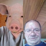 Photo de profil de Philippe Fayet