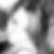 Photo de profil de Florence Giret