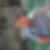 Photo de profil de Christian Roques