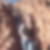 Photo de profil de Lydie Morisson