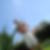 Photo de profil de Olivier Floury