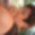 Photo de profil de Chantal Trottin