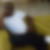 Photo de profil de Jimmy Kiasonga