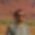 Photo de profil de Geraud Lafarge