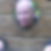 Photo de profil de Ghislain Bourgeois