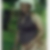Photo de profil de Chantal Mbatchou