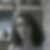 Photo de profil de Stéphanie Chaulet