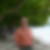 Photo de profil de Dominique Dode